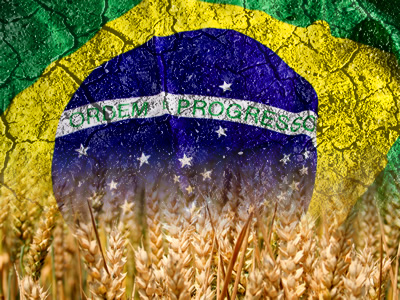 Bandeira do Brasil sobre sólido árido e campo de trigo